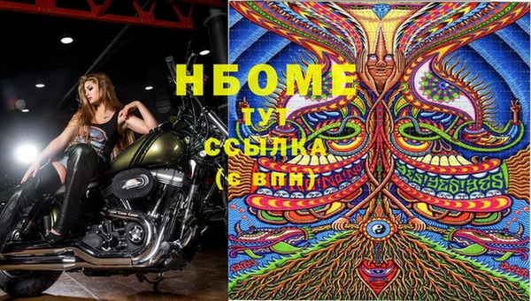 ALPHA-PVP Гусев