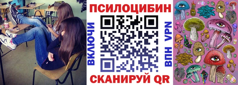 где купить наркотик  Джанкой  OMG как войти  Псилоцибиновые грибы Cubensis 